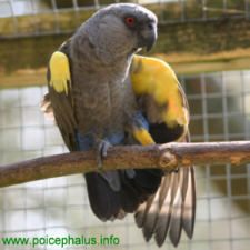 Foto: Jens Drebenstedt